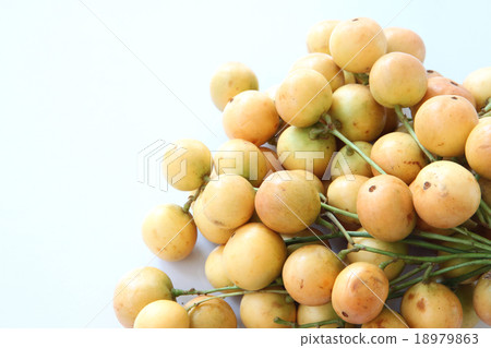 Baccaurea ramiflora or burmese grapes. 18979863