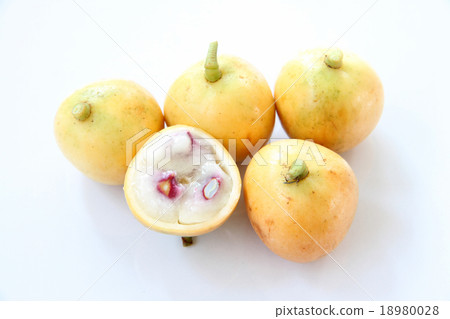 Baccaurea ramiflora or burmese grapes. 18980028