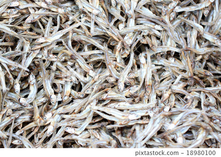 texture of anchovy fish after drying in sunlight. 18980100