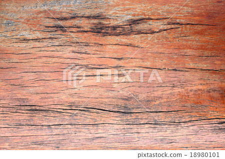 Old wood texture. 18980101