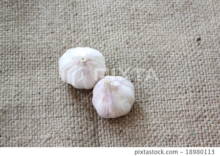 vegetable of garlic on sackcloth. vegetable of garlic on sackcloth. 18980113