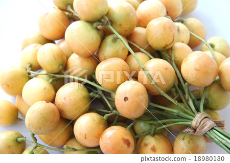 Baccaurea ramiflora or burmese grapes. Baccaurea ramiflora or burmese grapes. 18980180