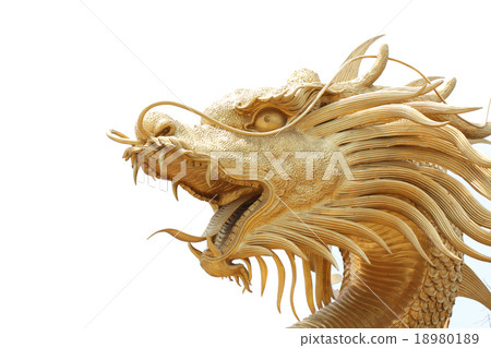 Head Golden dragon statue. Head Golden dragon statue. 18980189