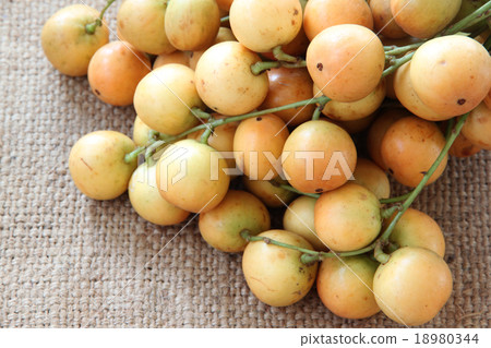 Baccaurea ramiflora or burmese grapes. Baccaurea ramiflora or burmese grapes. 18980344