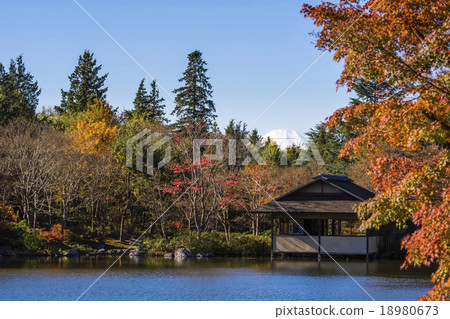 Japanese gardens and Mt. Fuji Japanese gardens and Mt. Fuji 18980673