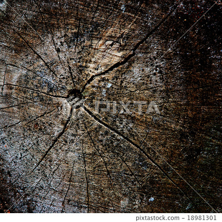 Dark color of wood patterns. Dark color of wood patterns. 18981301