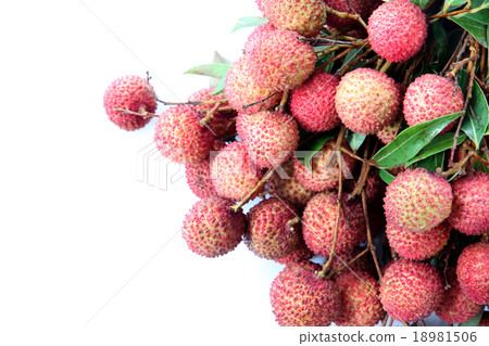 fresh lychees of isolated on white. fresh lychees of isolated on white. 18981506
