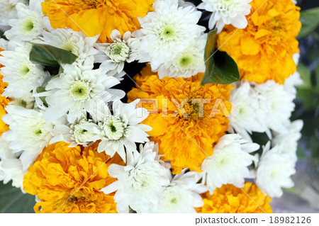 Yellow and white flowers. 18982126
