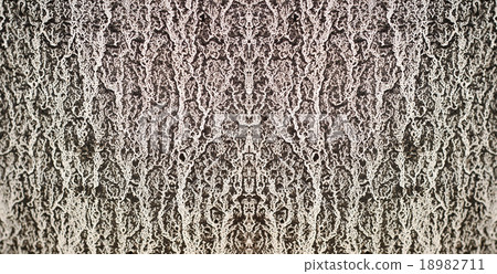 Surface of the craggy cement wall. 18982711