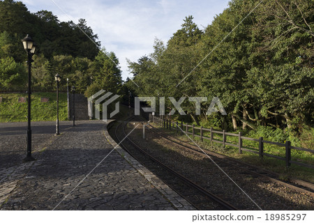 Alishan Forest Railway Alishan Forest Railway 18985297