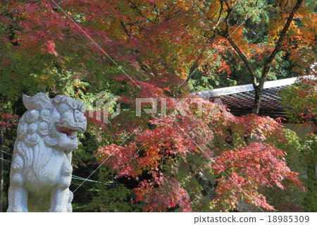 Guardian dog and autumn leaves 18985309