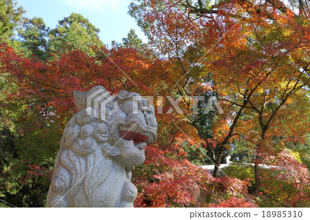 Guardian dog and autumn leaves 18985310