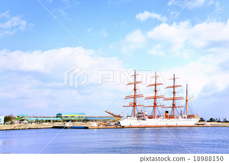 海王圓 海王圓 18988150