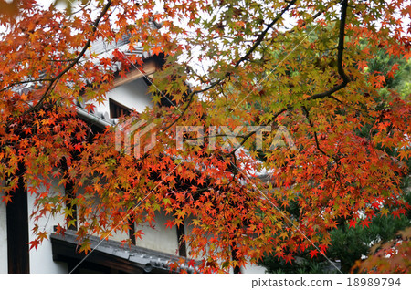 Konjukuin秋葉1 18989794