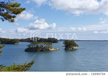 松島灣 18990784