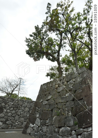 八代城堡遺址 八代城堡遺址 18991809