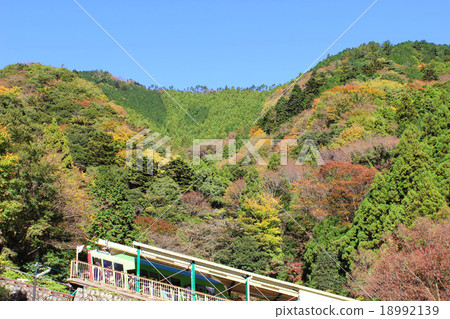 Oyama cable car 18992139