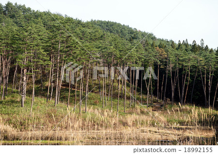 Matsumori Yamagata Prefecture 18992155