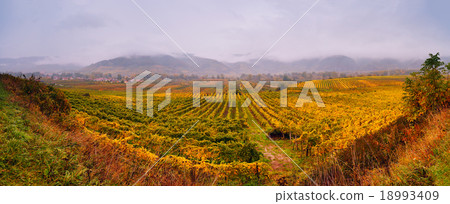 Cloudy autumn in Wachau valley Cloudy autumn in Wachau valley 18993409