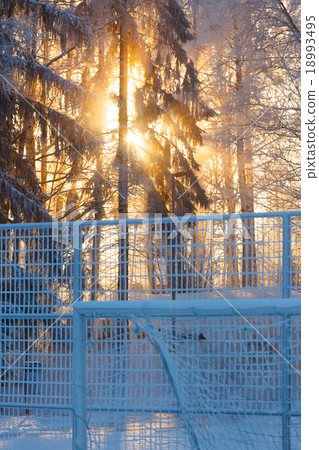 Sun rays through frosty trees 18993495