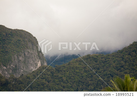 Exotic rainforest landscape Exotic rainforest landscape 18993521