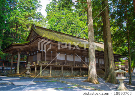 山王研究所 山王研究所 18993703