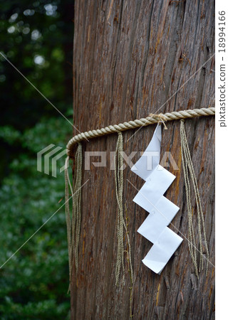 Oosaki of Ryosuke 18994166