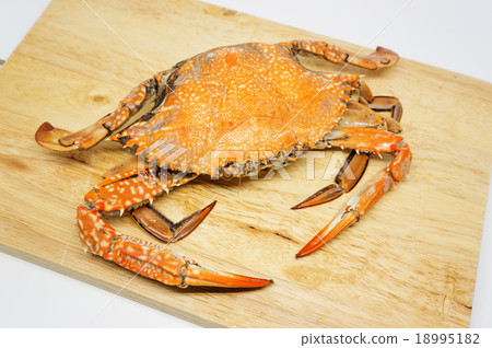 The blue crab which was boiled 18995182