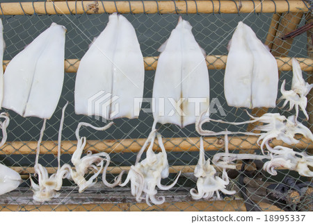 Dried octopus 18995337