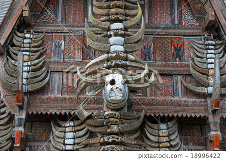 Buffalo horns at traditional houses in Tana Toraja 18996422