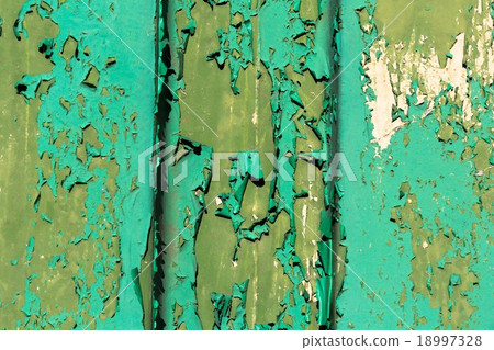 Paint damage and failure 18997328