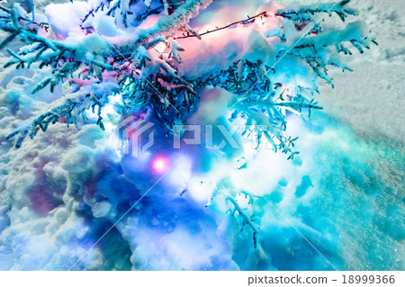 Decorated fir tree with the snow on branches. 18999366