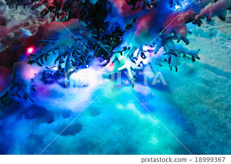 Decorated fir tree with the snow on branches. 18999367