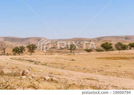 Lonely Road In The Negev Desert 19000794