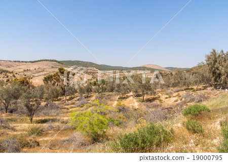 Metar, a community village northen Ber-Sheva Metar, a community village northen Ber-Sheva 19000795