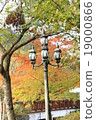 秋天 19000866