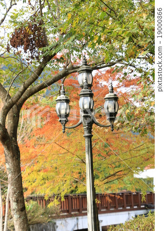 秋天 秋天 19000866