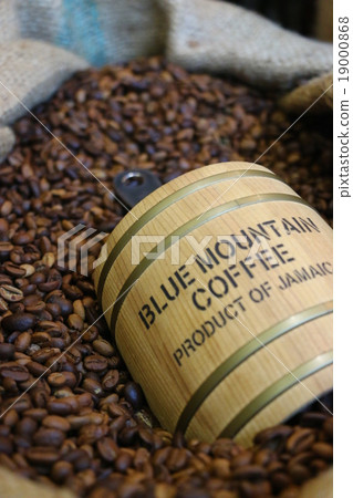 咖啡 咖啡 19000868