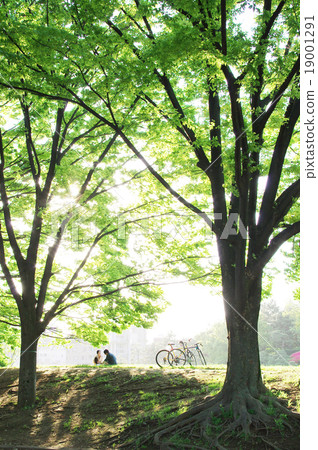 Moments of early summer 19001291