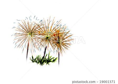 Colorful fireworks light on the sky 19001371