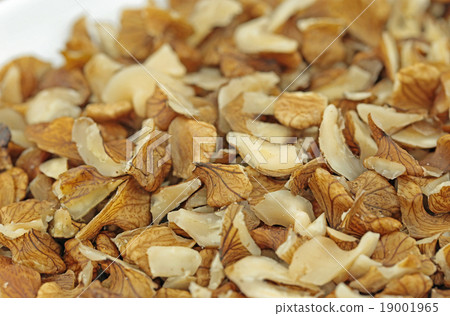 Peeled walnut 19001965