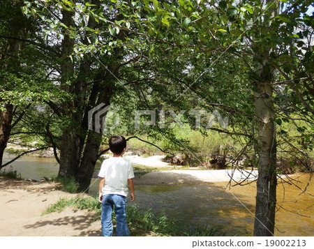 Yosemite Walk 19002213
