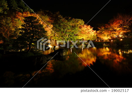 秋天的花園 秋天的花園 19002517