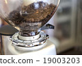 coffee beans in a coffee grinder  19003203