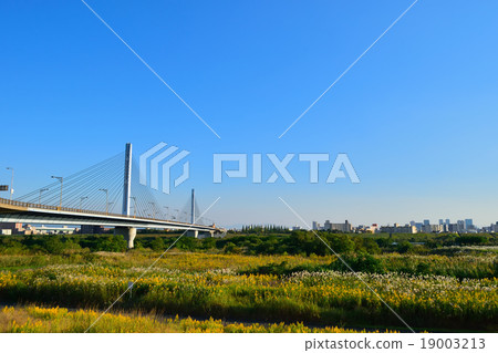 Sugawara Jojima Ohashi and Autumn Yodogawa River River 19003213