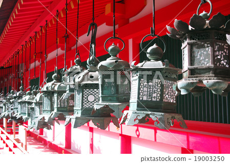 Kasuga Taisha Lantern 19003250