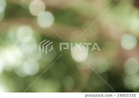 bokeh background with green toning 19003338