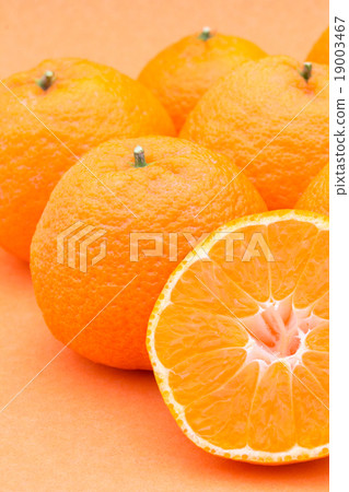 橘子：橘子 19003467