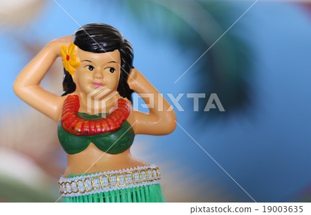 Hawaii Vintage Frador Palm Blue Background 19003635