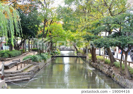 希望和平橋(岡山縣岡山市)的西川 希望和平橋(岡山縣岡山市)的西川 19004416